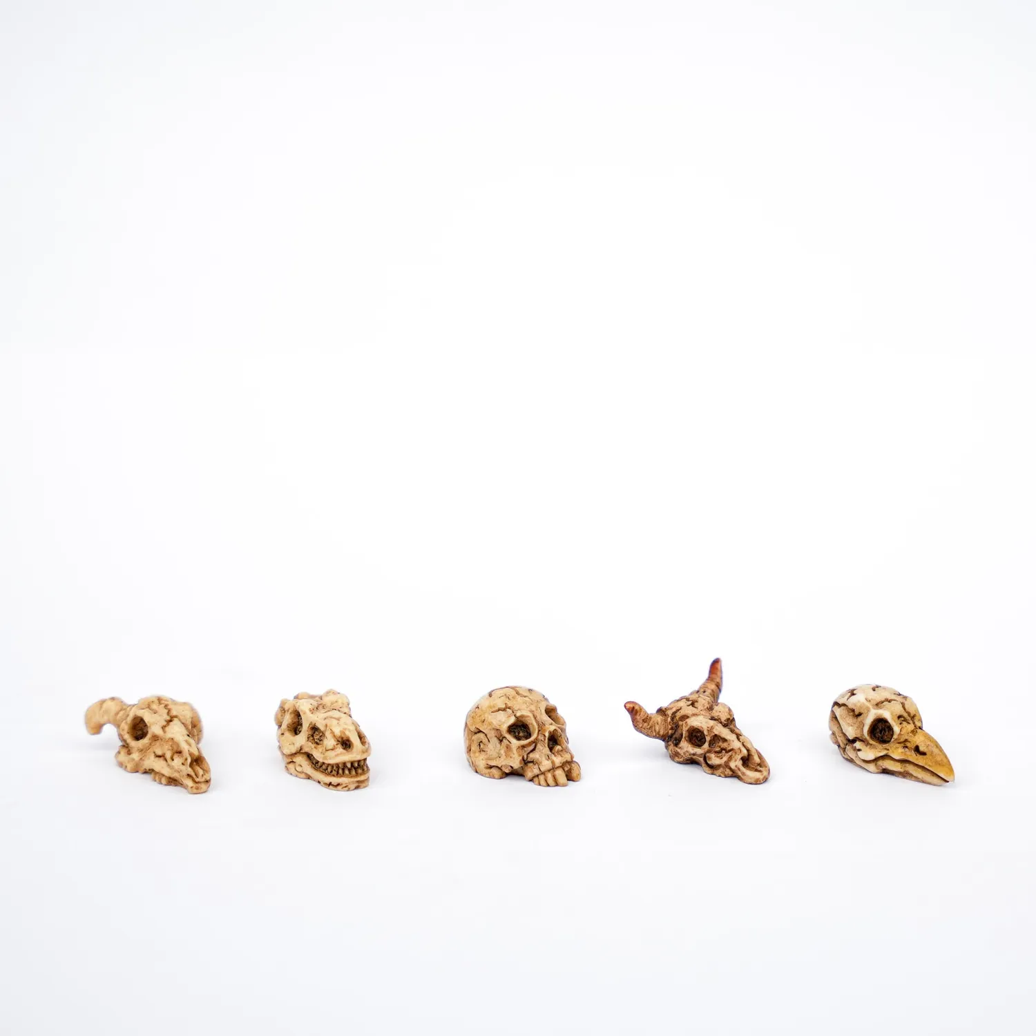 Urbanjungl Mini Skull Schedels Halloween Deco 5 Stuks 2 cm