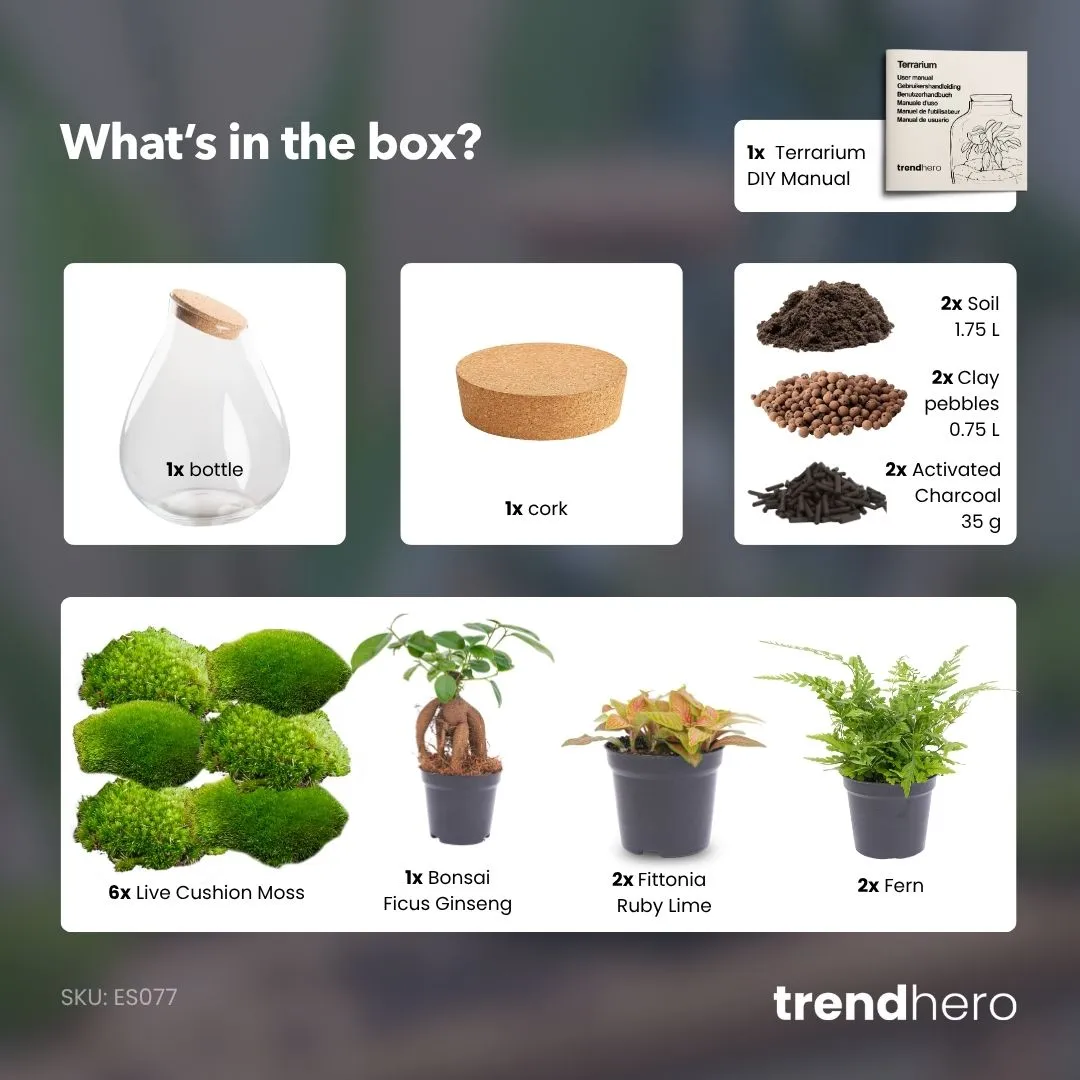 Urbanjungl Drop XXL Bonsai terrarium Ø 34 cm DIY kit