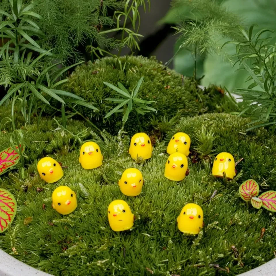 Urbanjungl Chick Class mini kuikentjes geel 10 stuks