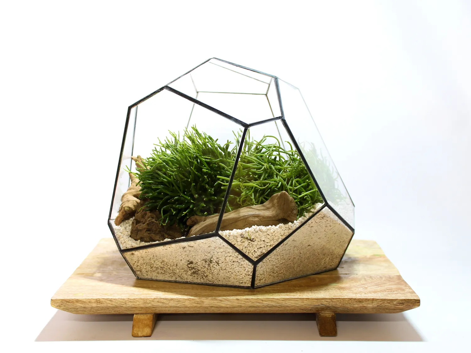 Urbanjungl Torno geometric terrarium glas 28x26x24 cm