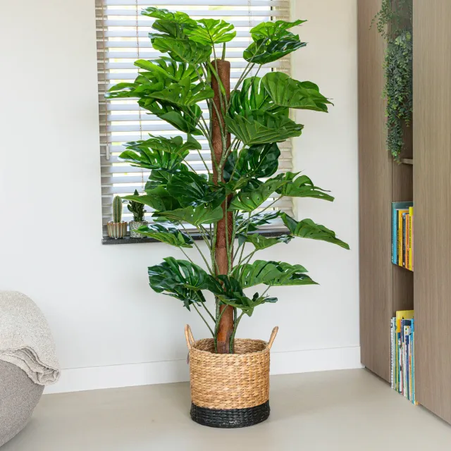 Urbanjungl Monstera kunstplant aan stok 150 cm