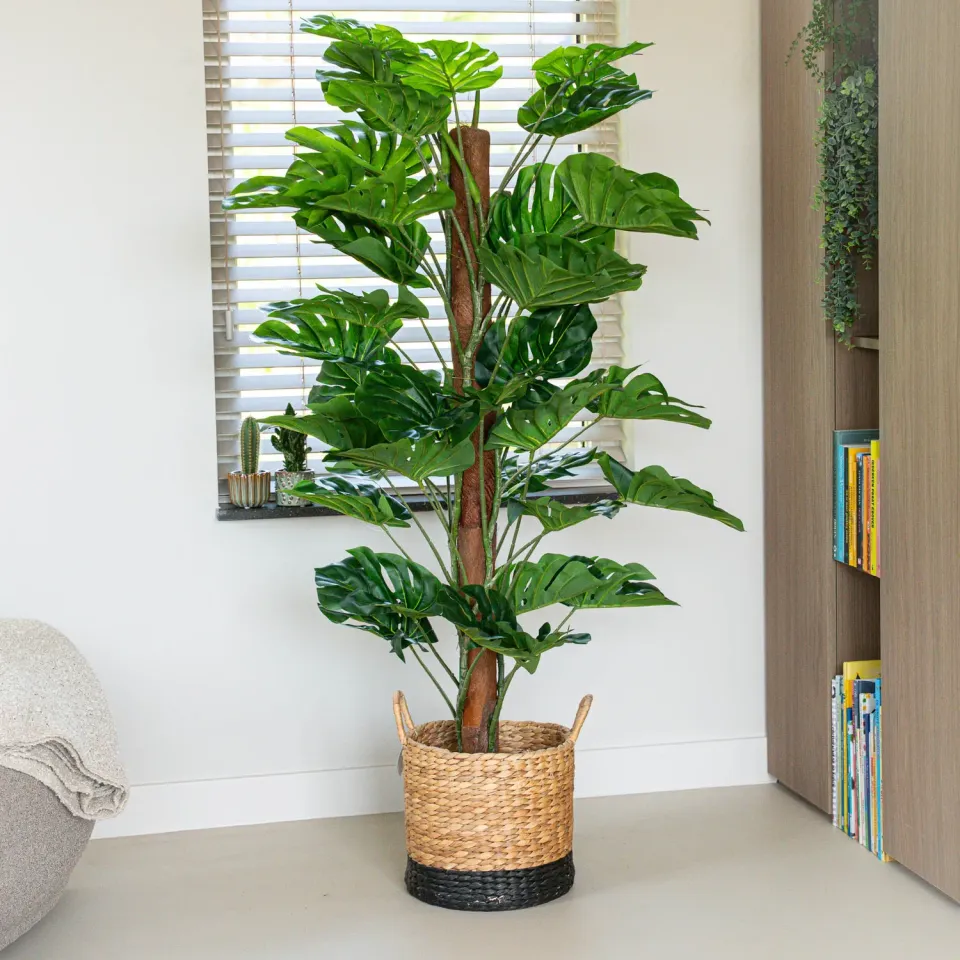 Urbanjungl Monstera kunstplant aan stok 150 cm