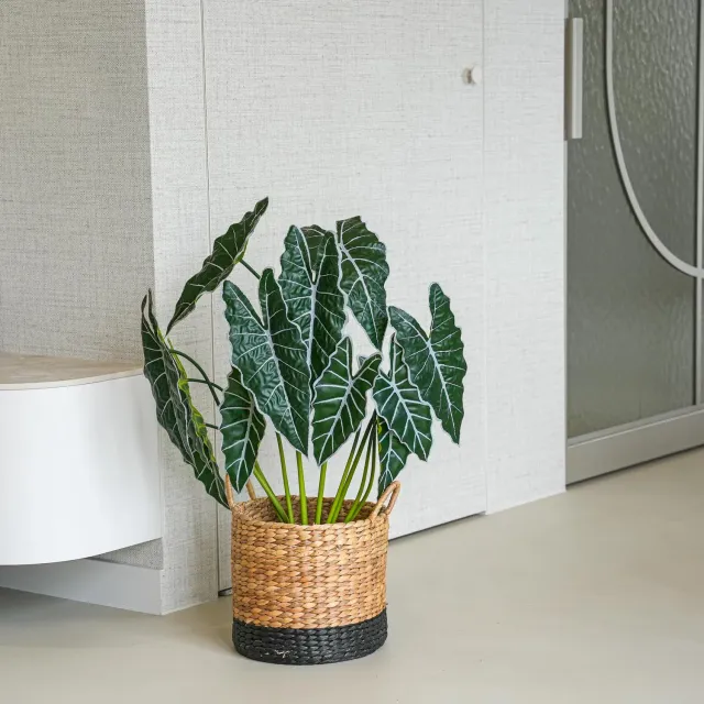 Urbanjungl Alocasia kunstplant 80 cm groen realistisch