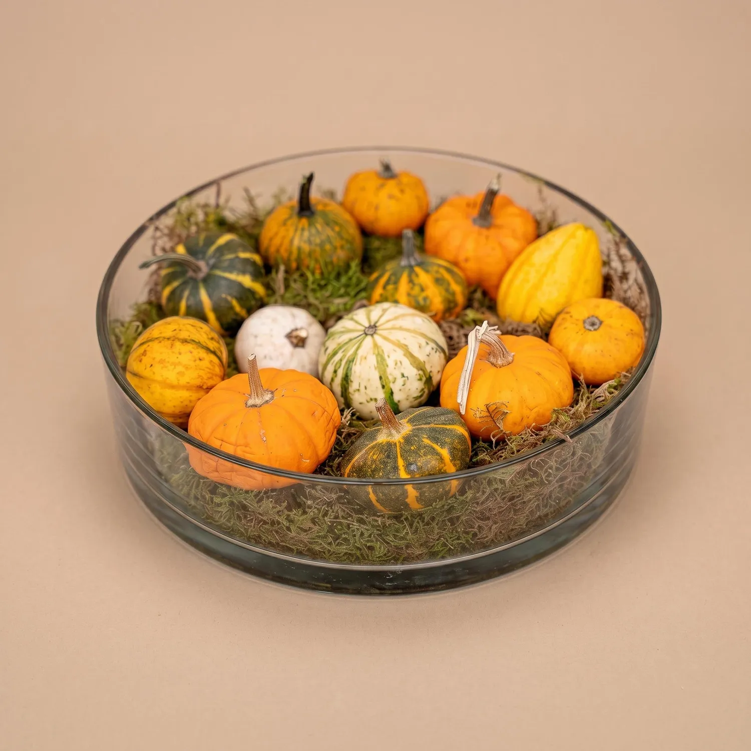 Urbanjungl Herfstschaal pompoen groot glas 29 cm 13 stuks