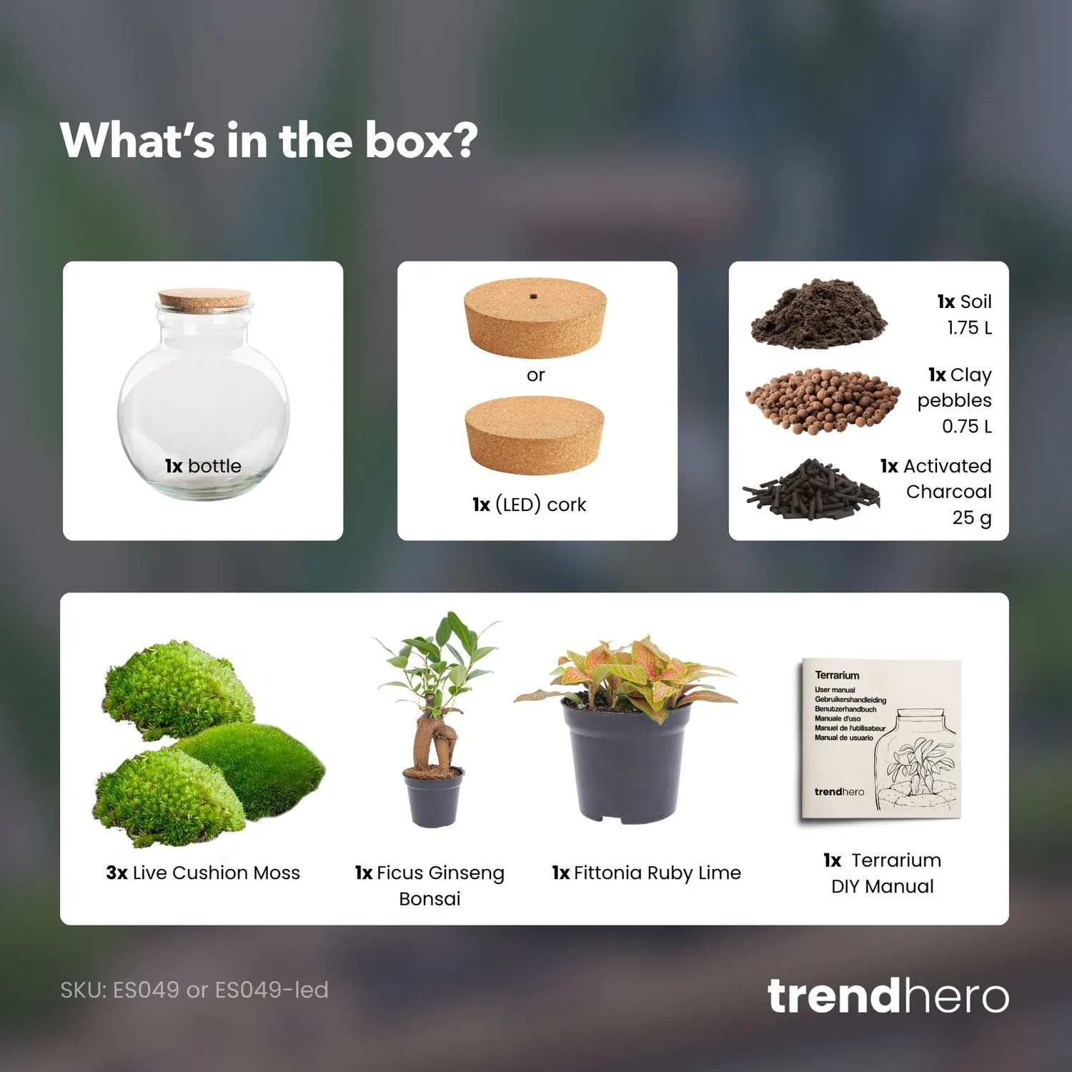 Urbanjungl Teddy Bonsai Rood terrarium DIY kit met licht Ø26 cm