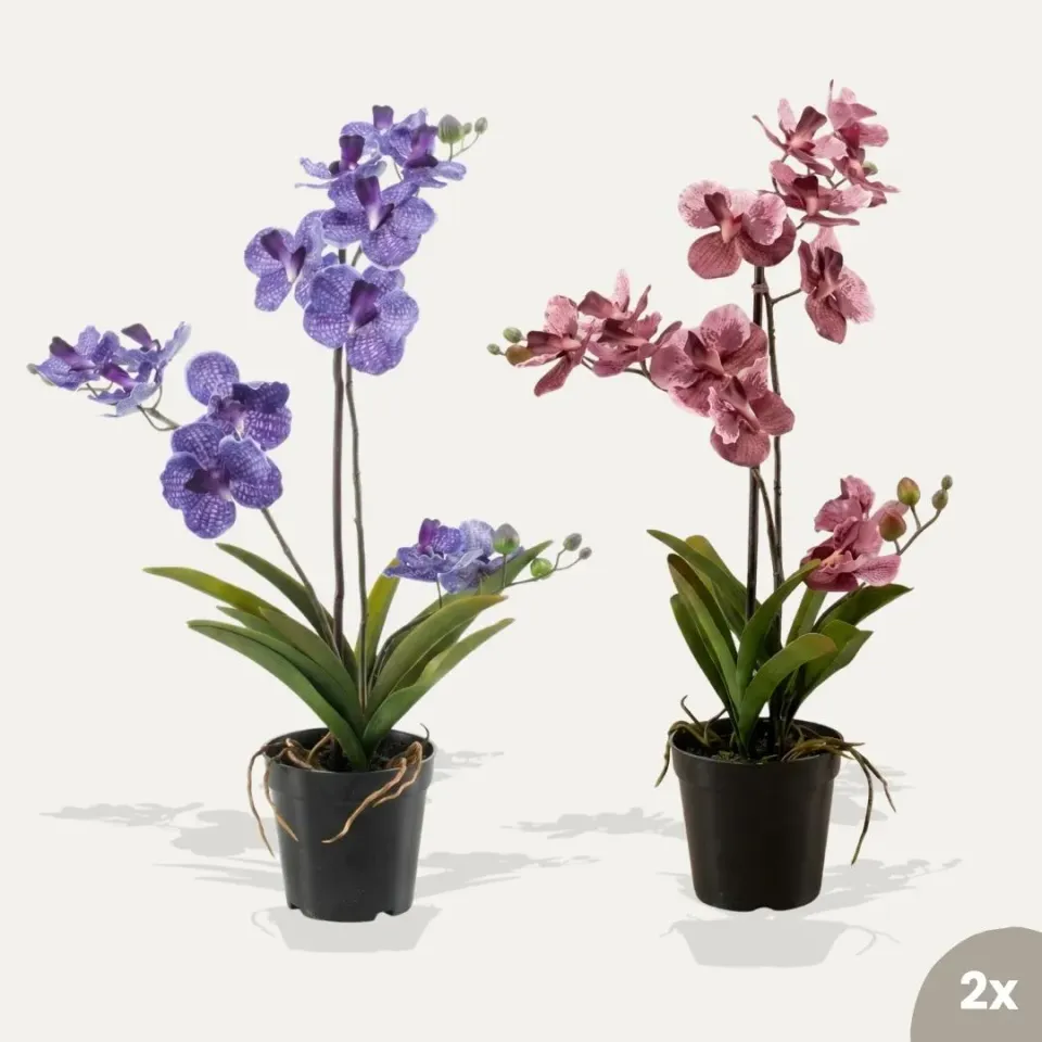 Urbanjungl Vanda mix orchidee kunstplant 2 stuks roze paars