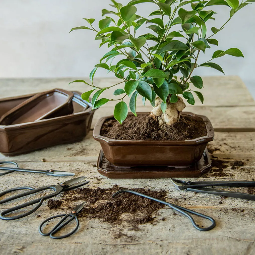 Urbanjungl bonsai wortelhaak 20,5 cm staal