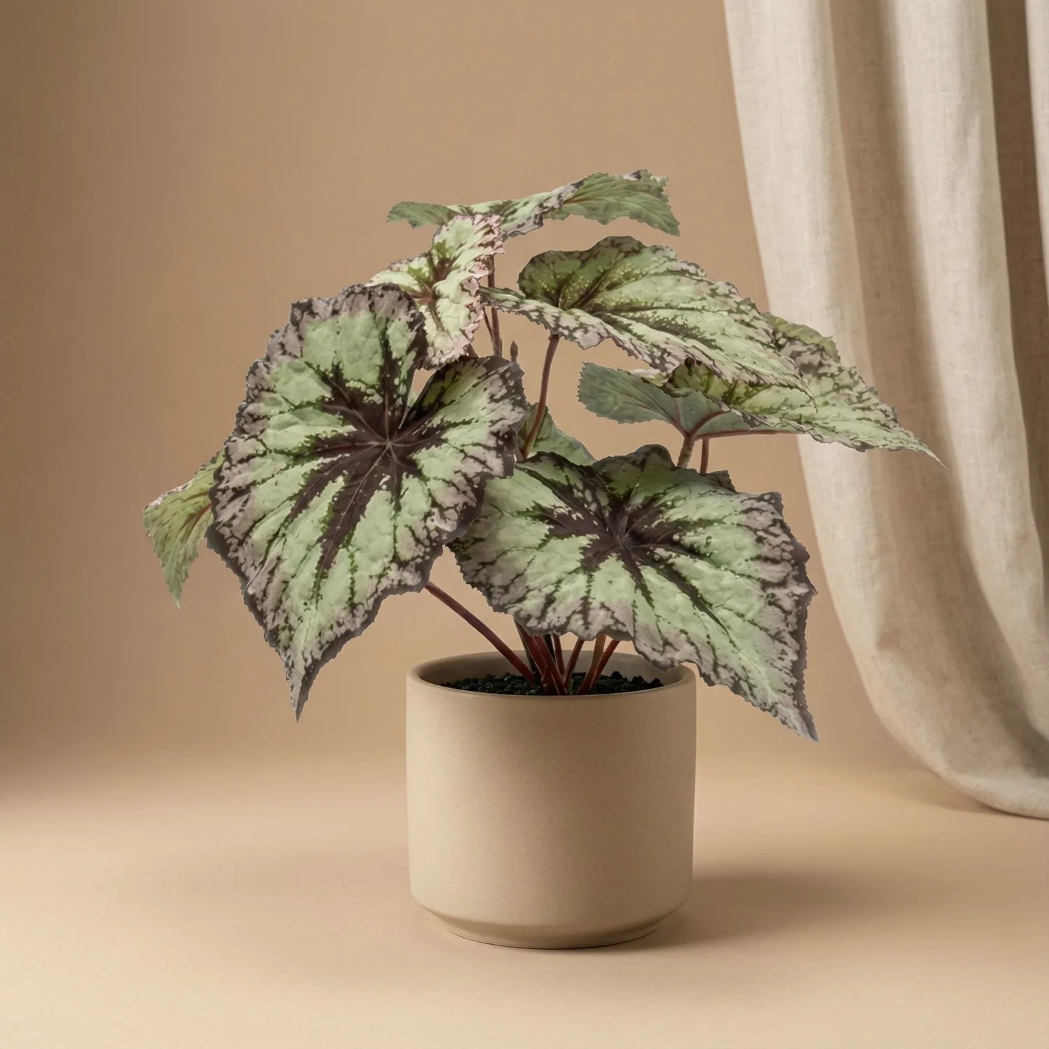 Urbanjungl Begonia 26 cm kunstplant grijs-paars UV balkon