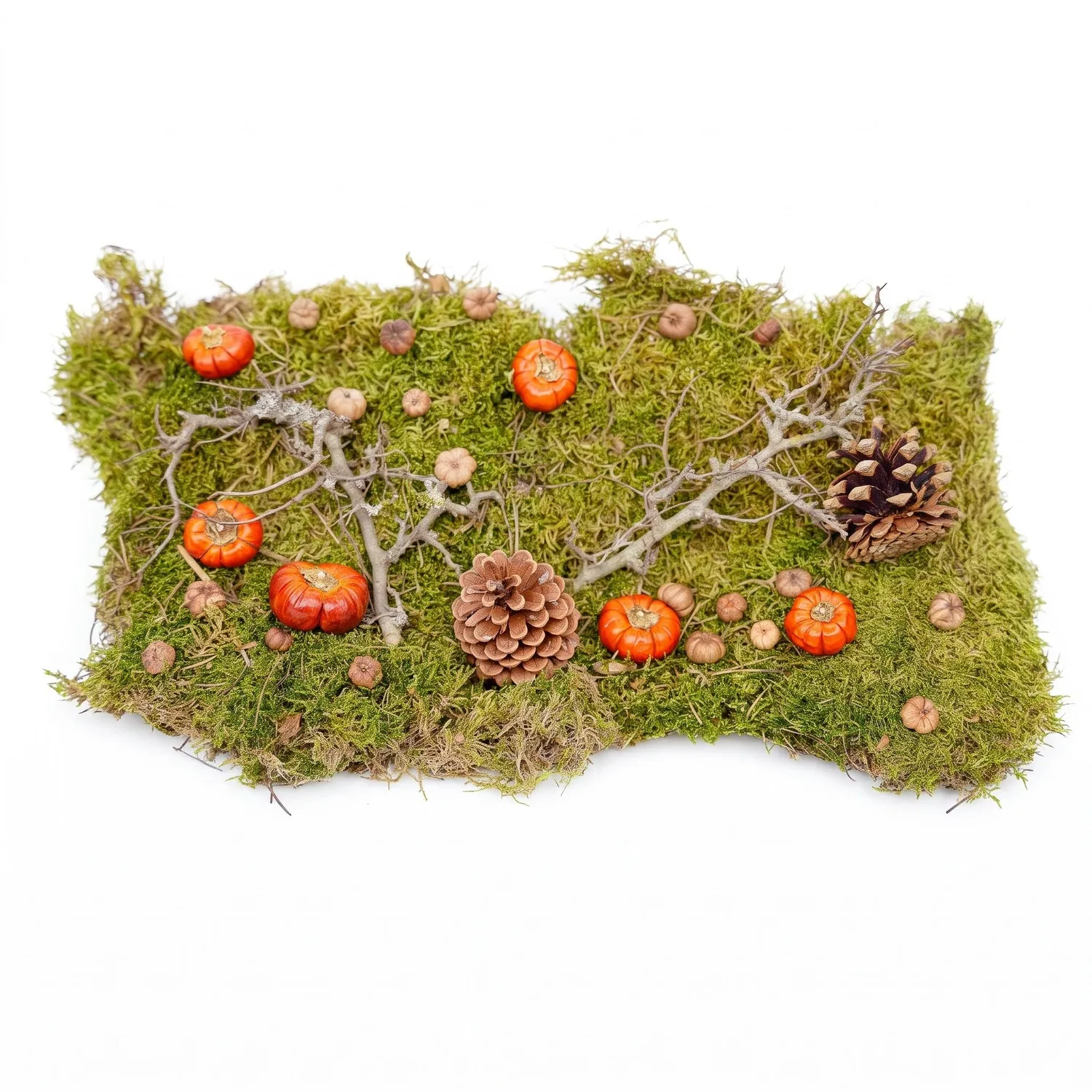 Urbanjungl Herfst deco kit gedroogd natuur 30x20 cm