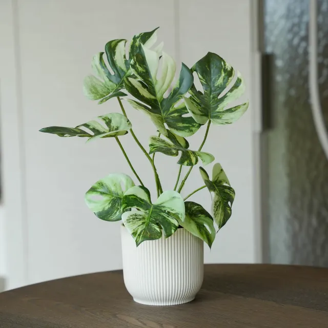 Urbanjungl Monstera Bush kunstplant 40 cm in pot onderhoudsvrij
