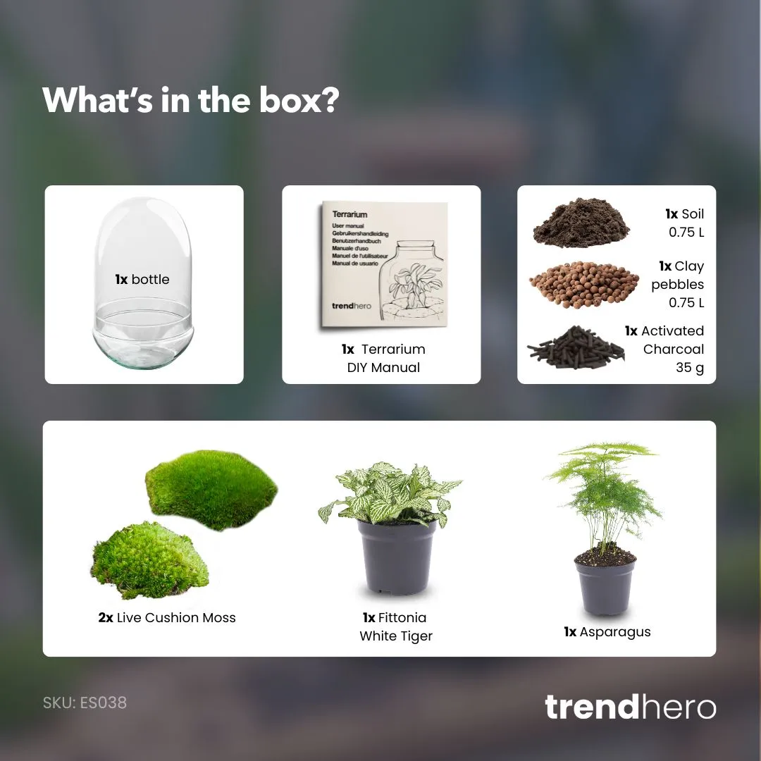 Urbanjungl Egg XL planten terrarium glazen stolp