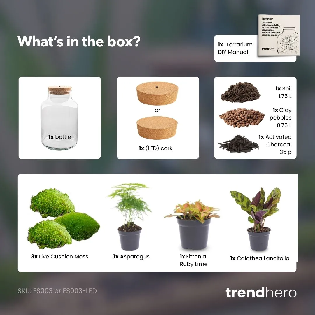 Urbanjungl Milky terrarium DIY kit Ø 21 cm met licht