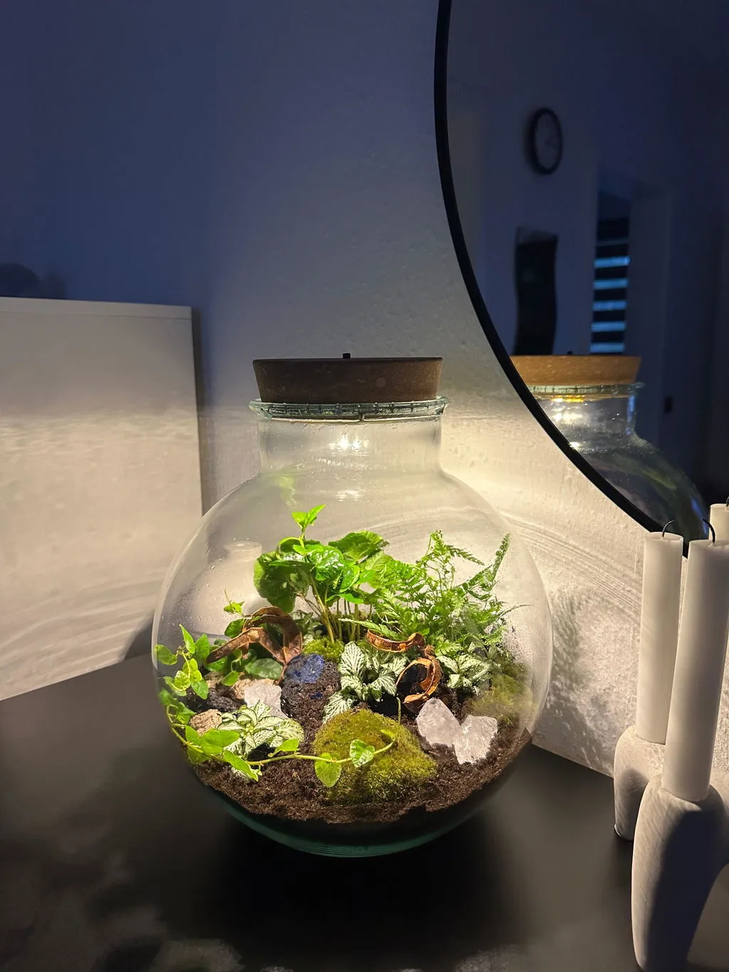 Urbanjungl Bolder Bob planten terrarium kit 31 cm met licht