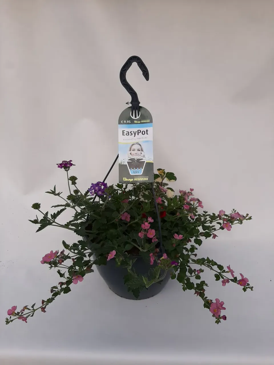 Tuincentrum Heerdink Hanging Basket mix 3 hangmand 5 kleuren