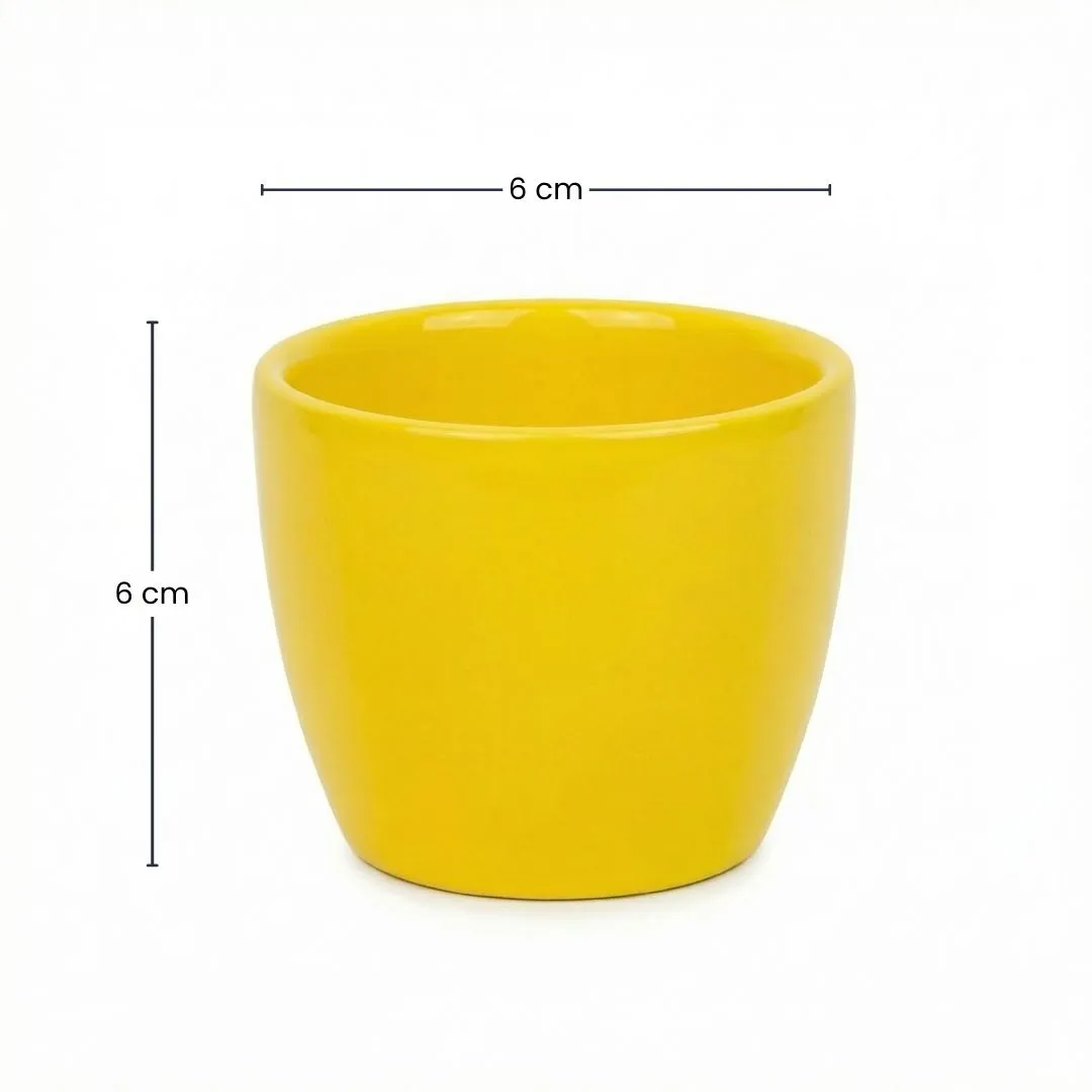 Urbanjungl Lemon mini plantenpot geel Ø 6 cm