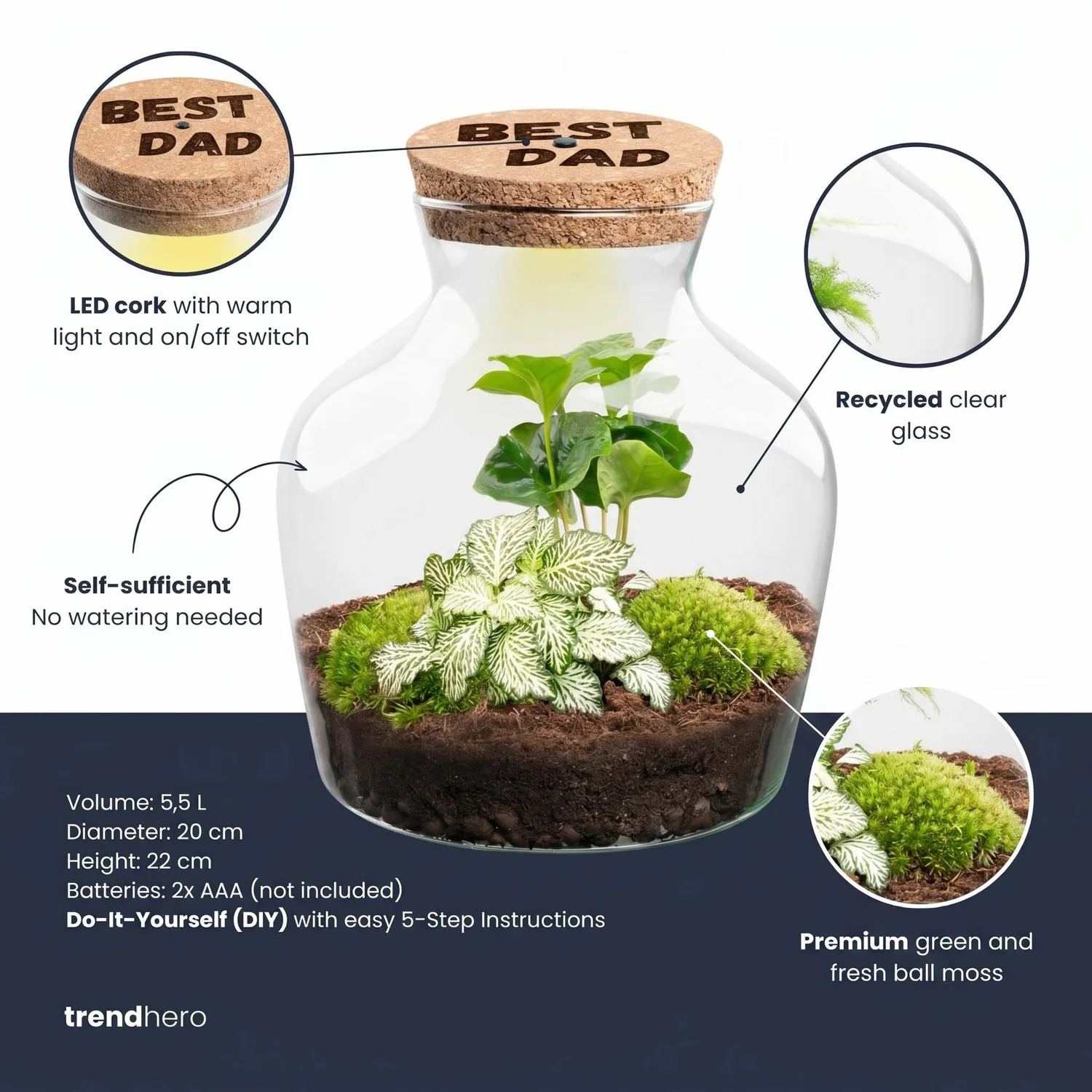 Urbanjungl Little Joe vaderdag terrarium DIY kit 20 cm LED