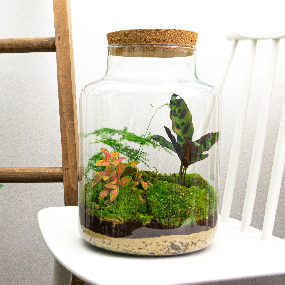 Urbanjungl Milky terrarium DIY kit Ø 21 cm met licht