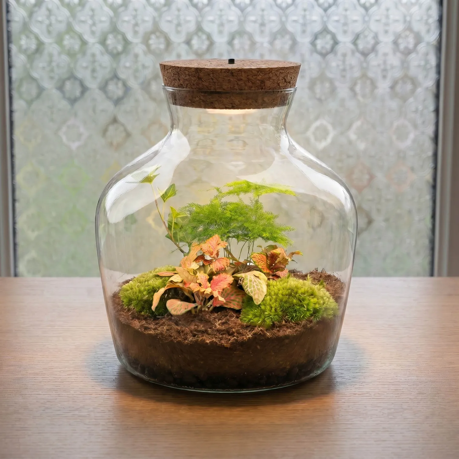Urbanjungl Little Joe terrarium DIY kit ruby lime Ø 20 cm