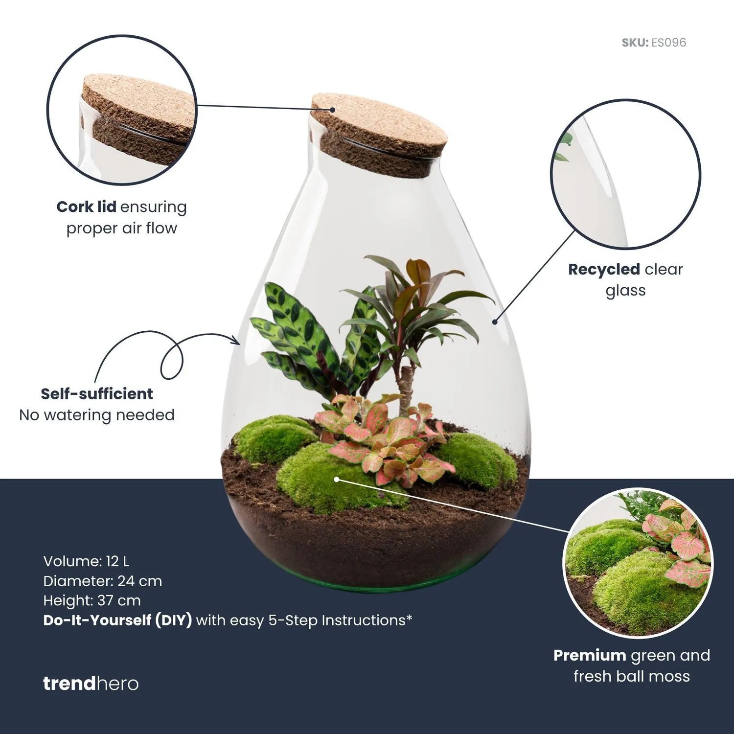 Urbanjungl Drop XL Palm planten terrarium met kurk