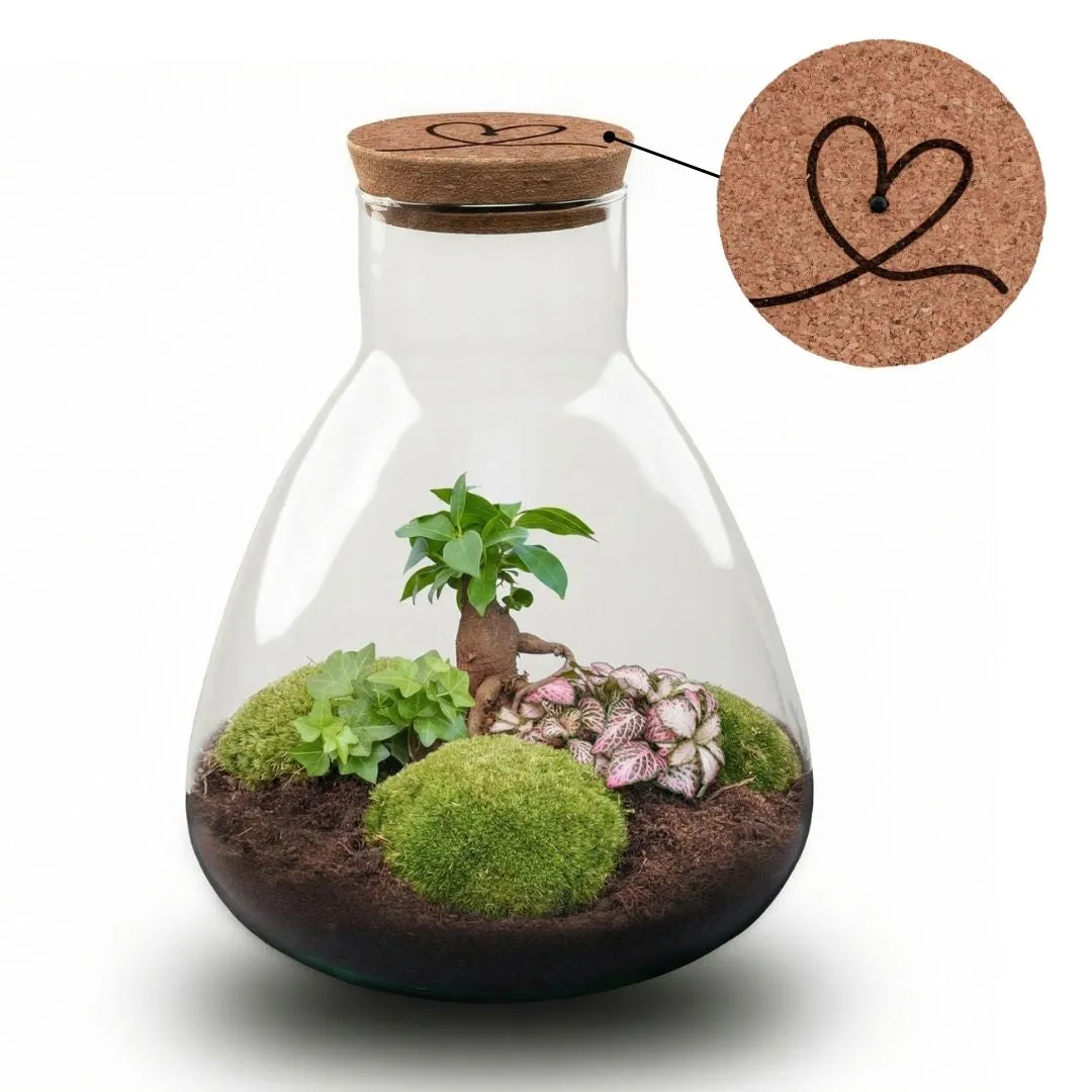 Urbanjungl Sam LOVE MOM terrarium DIY kit met licht