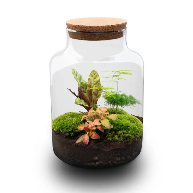 Urbanjungl Milky terrarium DIY kit Ø 21 cm met licht