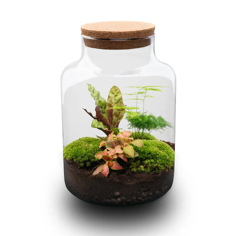 Urbanjungl Milky terrarium DIY kit Ø 21 cm met licht