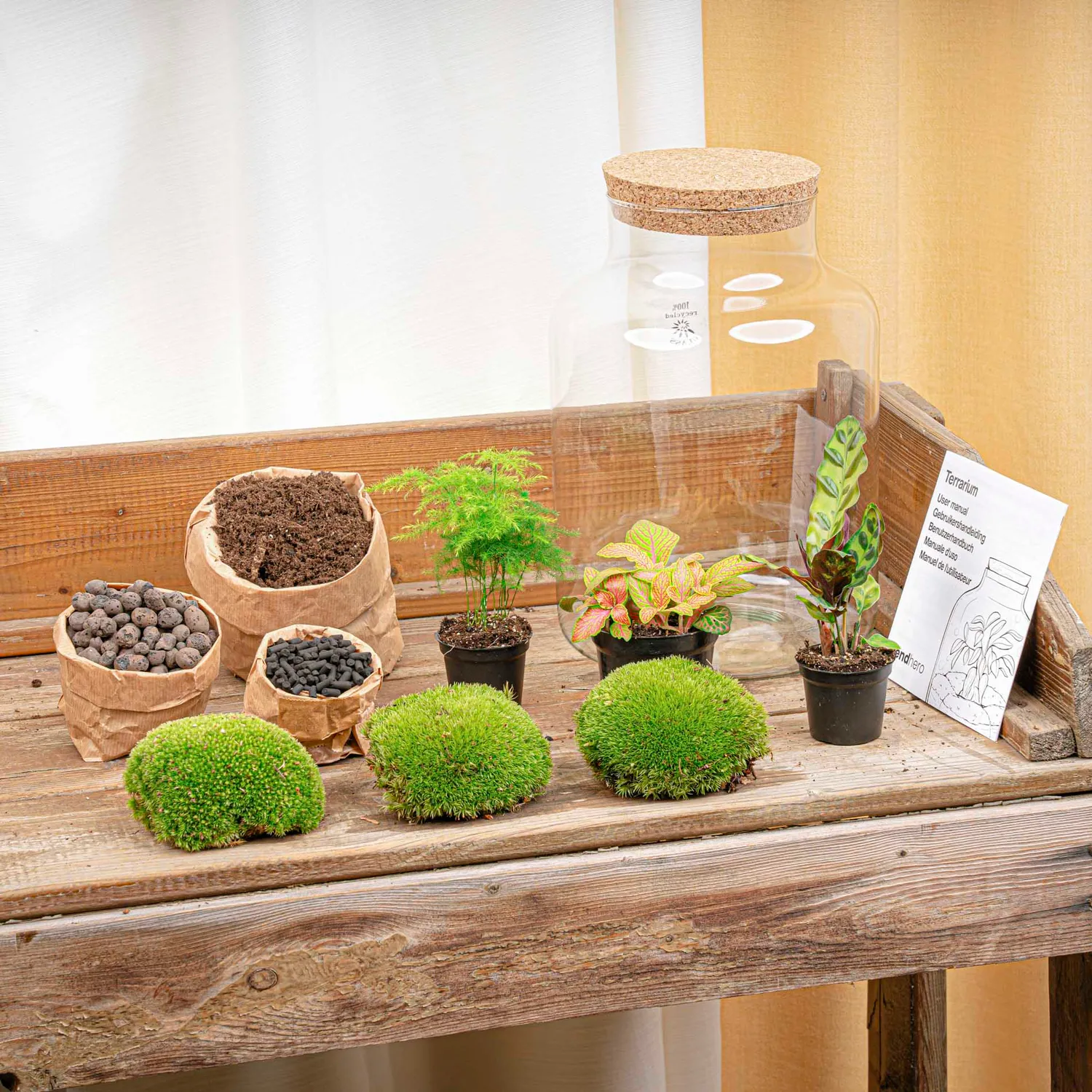 Urbanjungl Milky terrarium DIY kit Ø 21 cm met licht