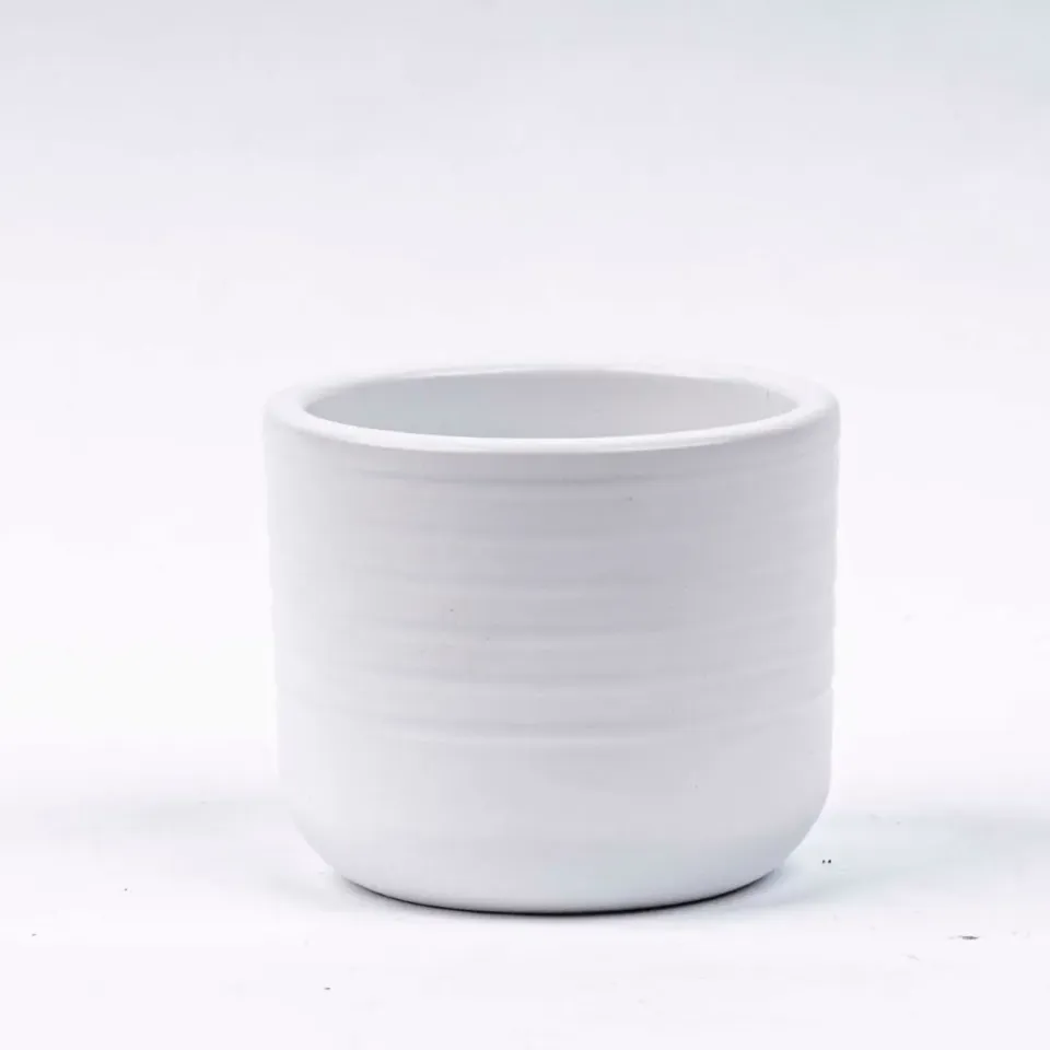 Urbanjungl Donny mini plantenpot wit Ø 6 cm keramiek