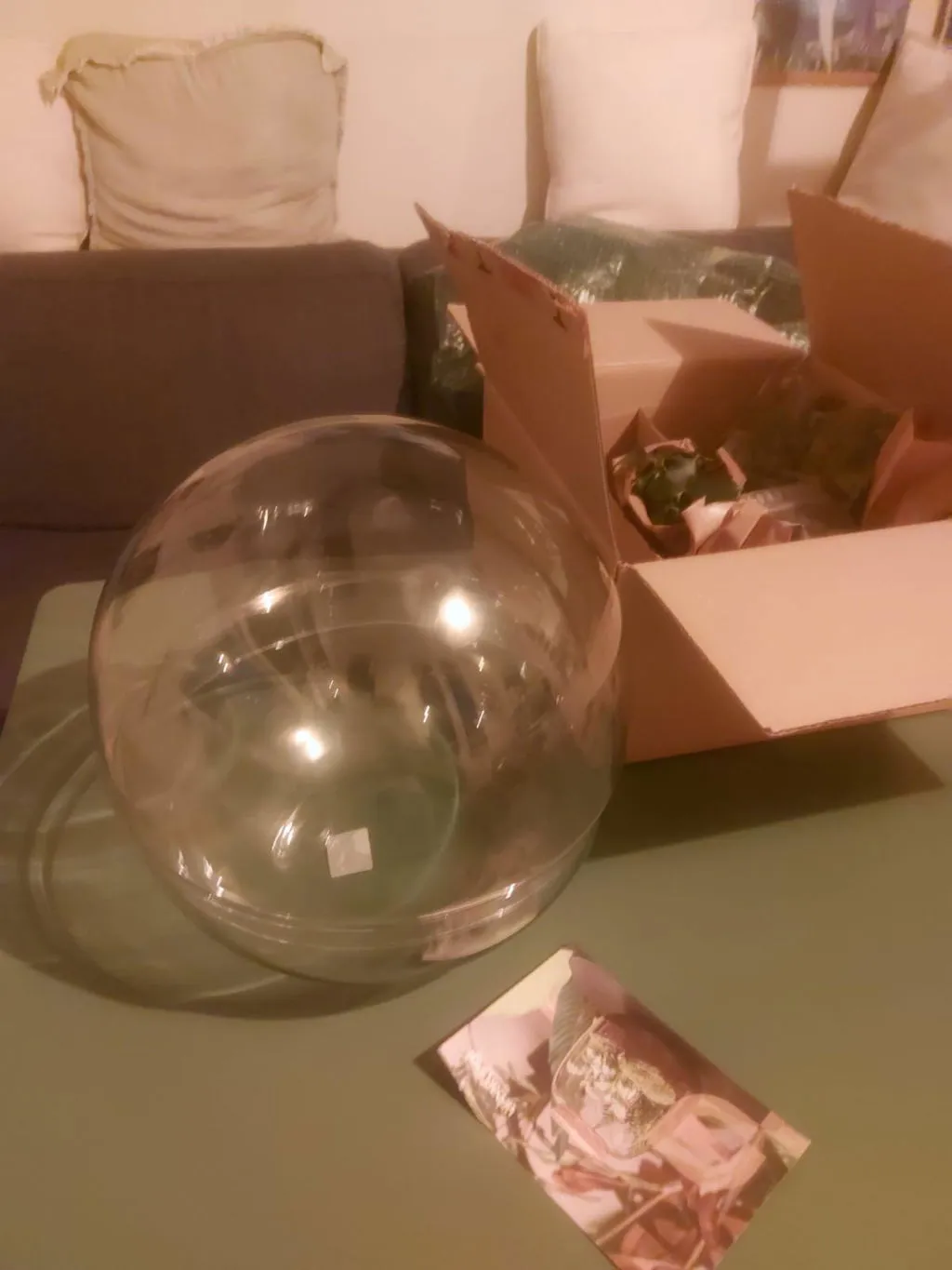Urbanjungl Dome XL Terrarium DIY kit Ø28 cm bonsai