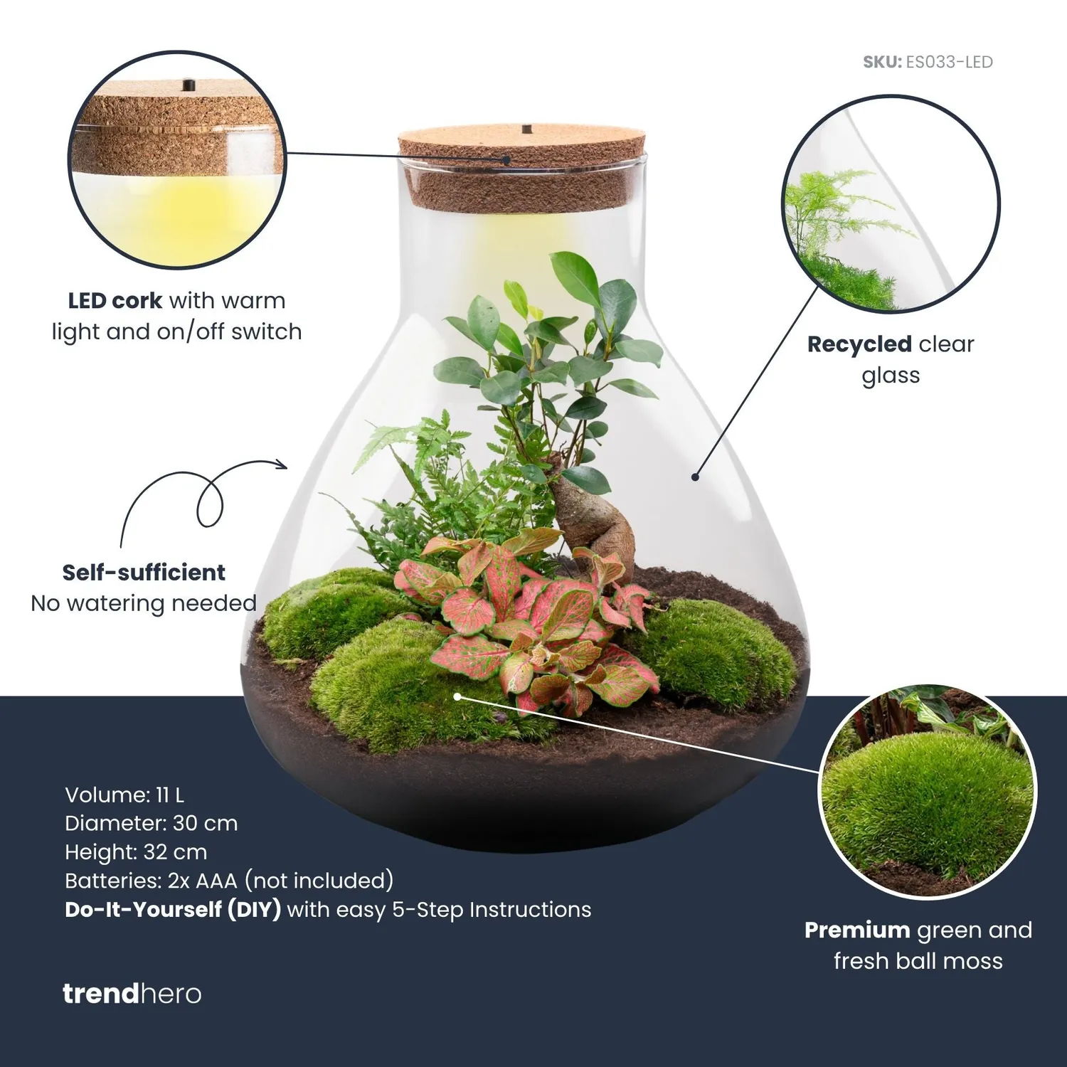 Urbanjungl Sam XL Bonsai planten terrarium kit met licht