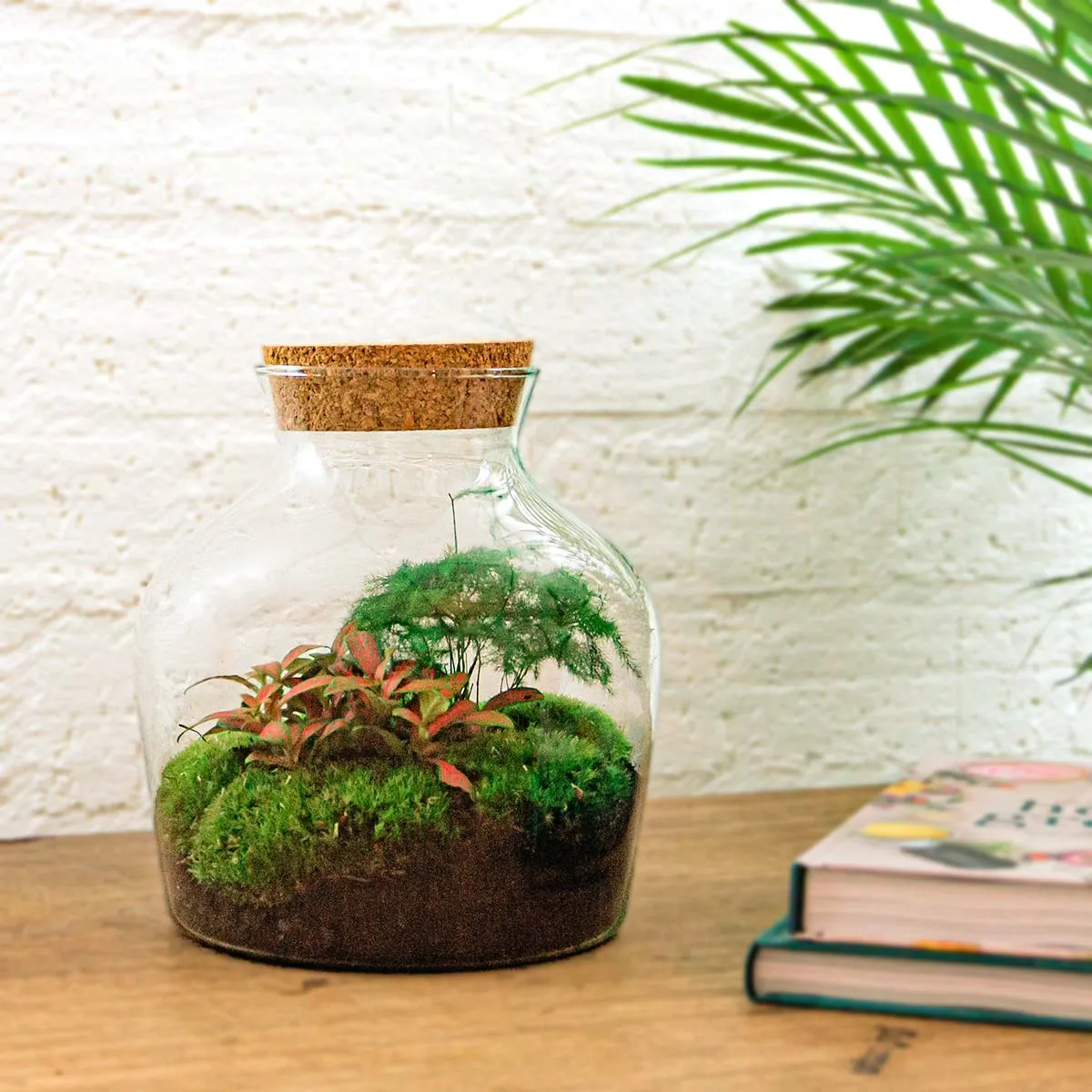 Little Joe Hedera Fittonia Ruby Lime terrarium met licht 20 cm