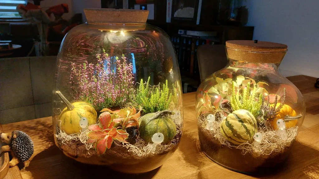 Urbanjungl Emma Autumn herfst terrarium DIY-set