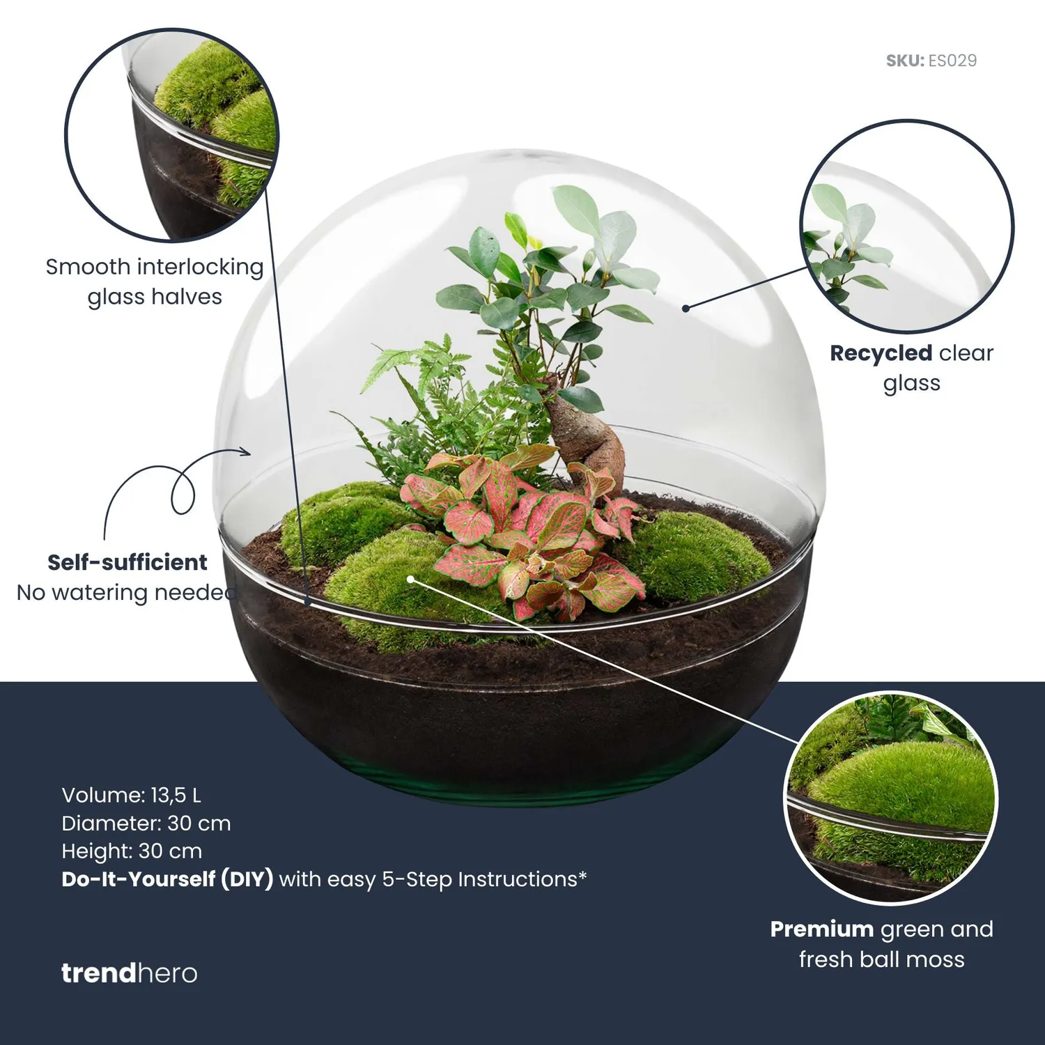 Urbanjungl Dome XL Terrarium DIY kit Ø28 cm bonsai