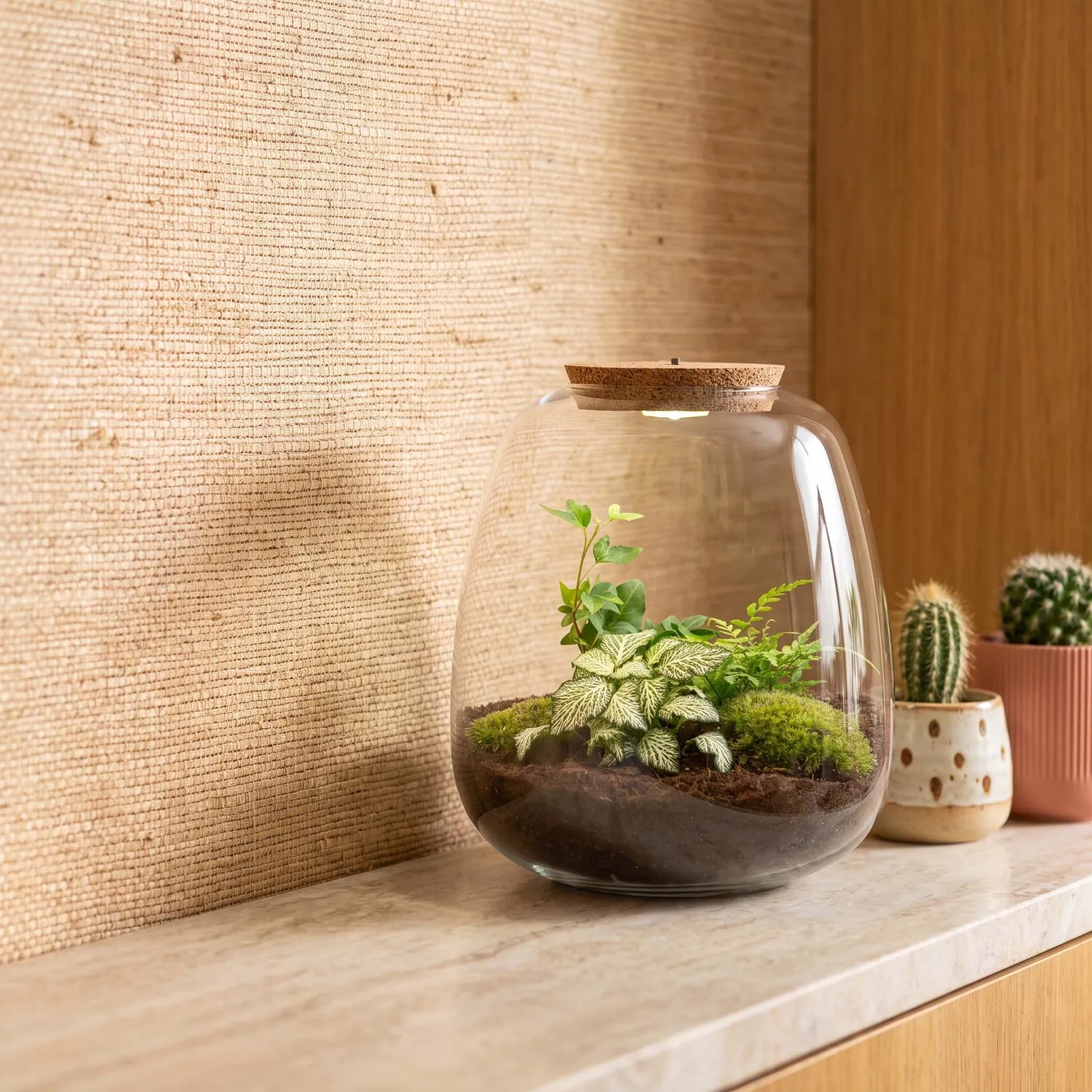 Emma Hedera White planten terrarium met licht Ø23 cm