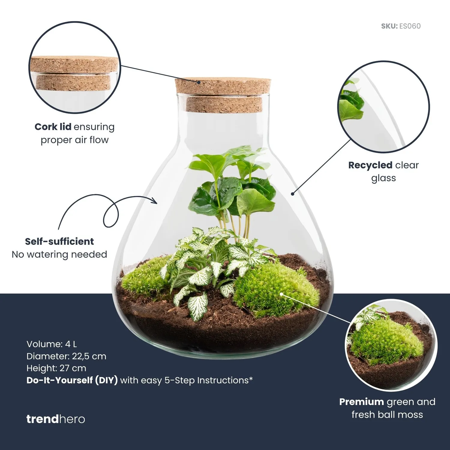 Urbanjungl Sammie terrarium DIY kit coffea white tiger Ø 22,5 cm
