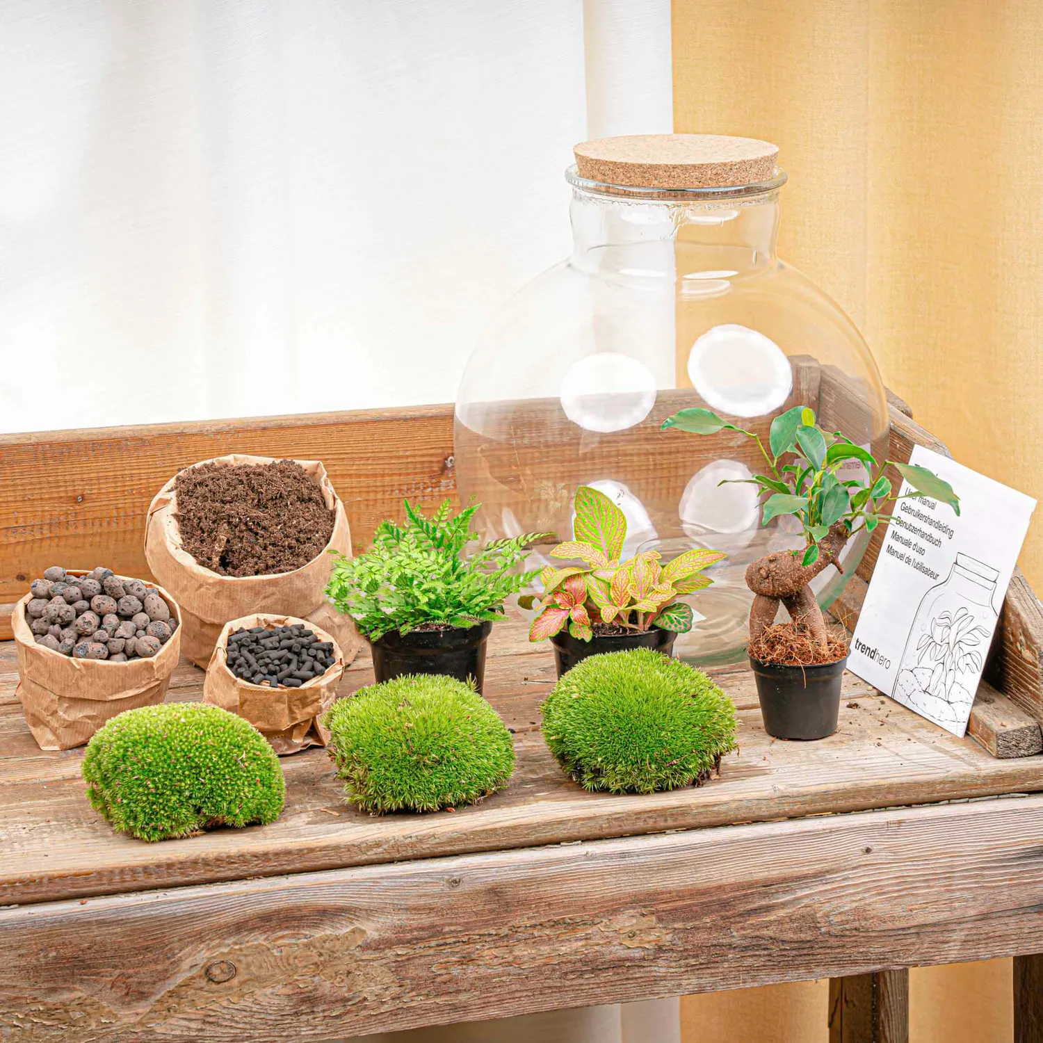 Urbanjungl Bolder Bob Bonsai terrarium DIY kit met licht Ø31 cm