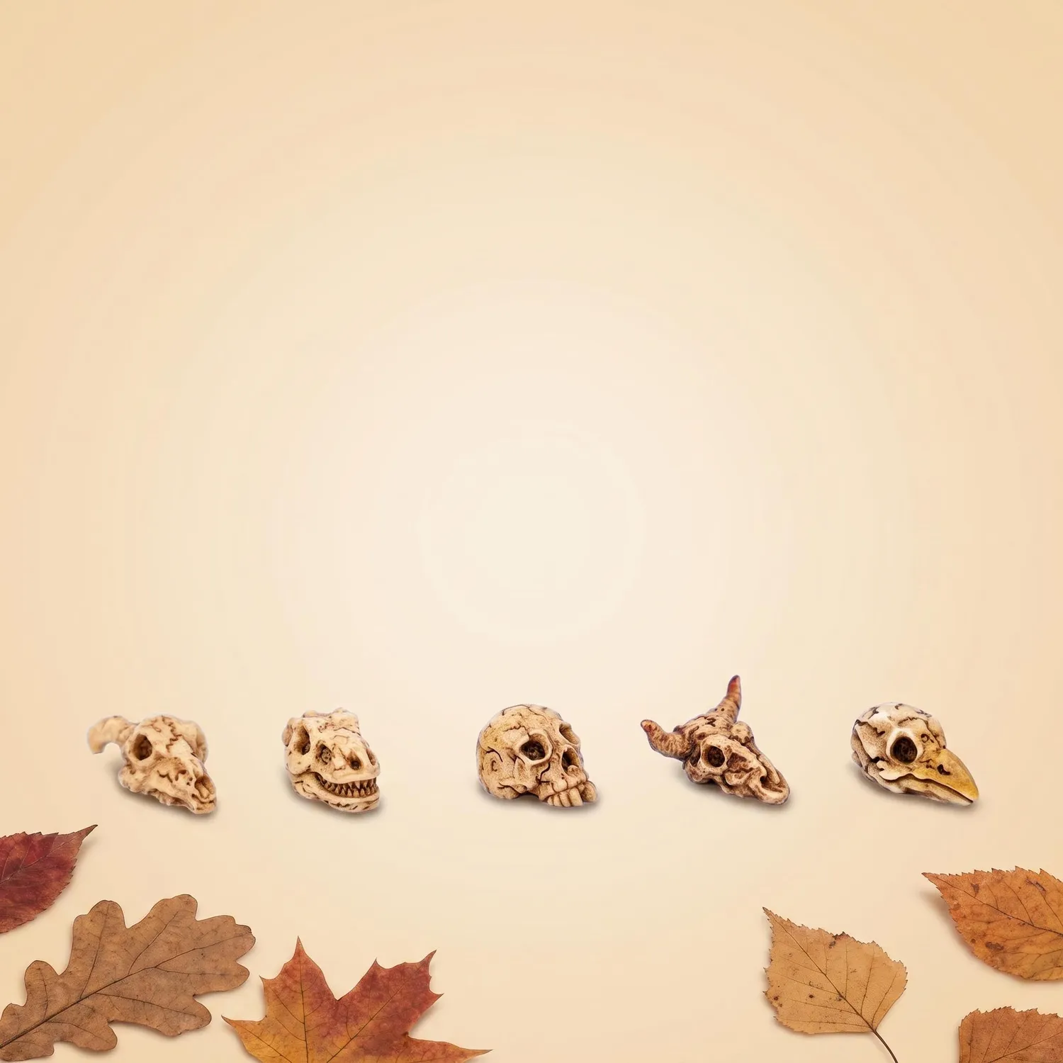 Urbanjungl Mini Skull Schedels Halloween Deco 5 Stuks 2 cm