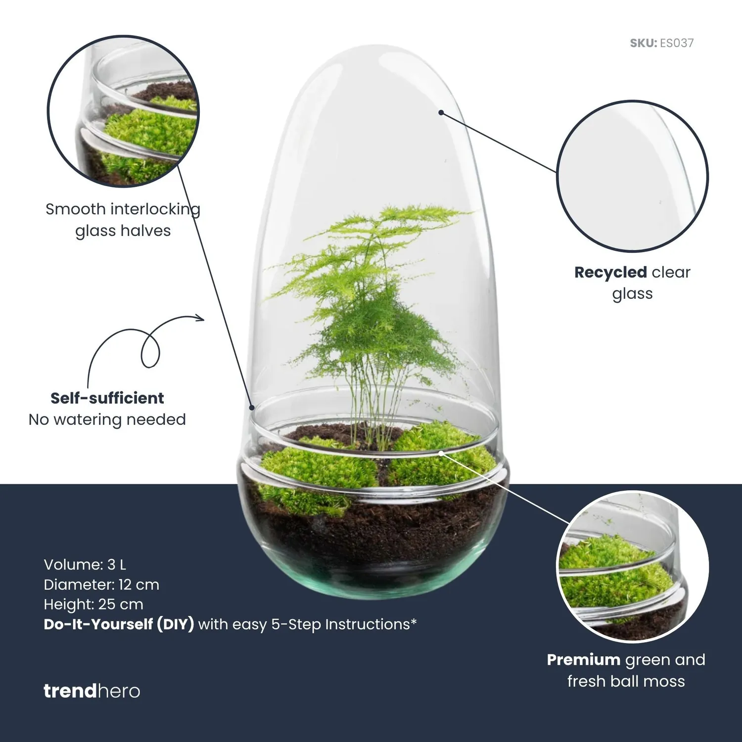 Urbanjungl Egg planten terrarium DIY kit 12x25 cm compleet