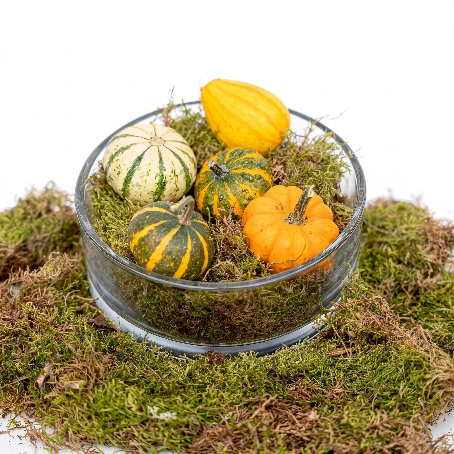 Urbanjungl Herfstschaal Pompoen Medium schaal 5 pompoenen mos