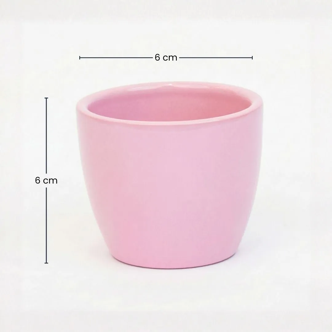 Urbanjungl Bol pot mini plantenpot pastelroze 6 cm