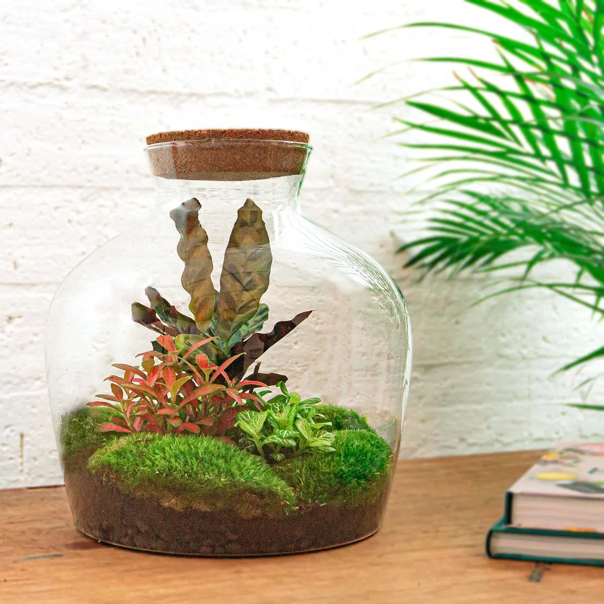 Urbanjungl Fat Joe Red terrarium DIY kit Ø 29 cm met licht