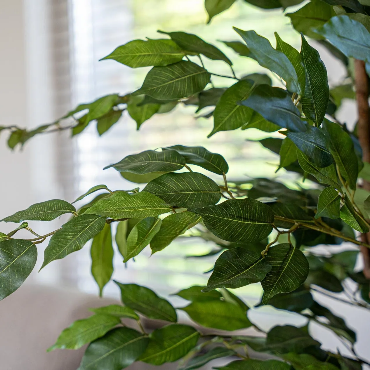 Urbanjungl Ficus Deluxe kunstplanten set 2 stuks 140cm groen